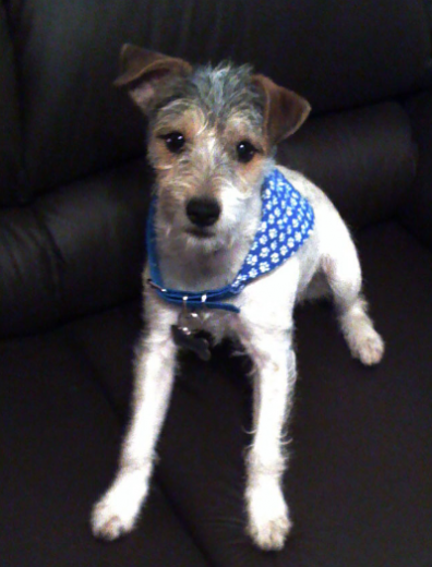 Chester Chester
